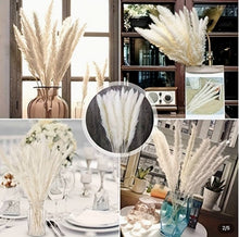 Load image into Gallery viewer, Pampas Grass Pick