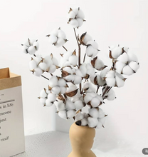 Load image into Gallery viewer, Natural Fluffy Cotton Pick