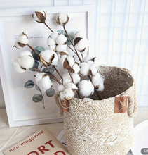 Load image into Gallery viewer, Natural Fluffy Cotton Pick