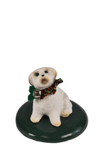Load image into Gallery viewer, Assorted dog carollers