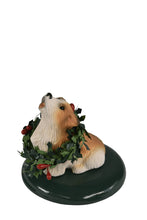 Load image into Gallery viewer, Assorted dog carollers