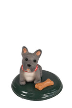 Load image into Gallery viewer, Assorted dog carollers