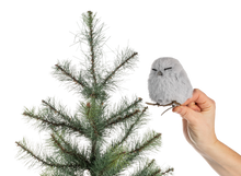 Load image into Gallery viewer, Fuzzy Owl Clip On Ornament
