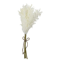 Load image into Gallery viewer, Pampas Grass Pick