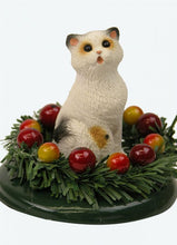 Load image into Gallery viewer, Assorted Cat Carollers
