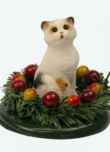 Load image into Gallery viewer, Assorted Cat Carollers