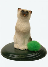 Load image into Gallery viewer, Assorted Cat Carollers