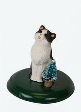 Load image into Gallery viewer, Assorted Cat Carollers