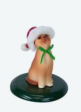 Load image into Gallery viewer, Assorted Cat Carollers