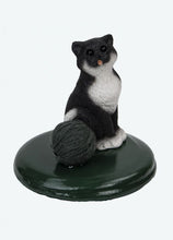 Load image into Gallery viewer, Assorted Cat Carollers