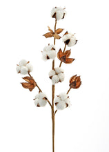 Load image into Gallery viewer, Natural Fluffy Cotton Pick