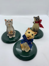 Load image into Gallery viewer, Assorted Cat Carollers