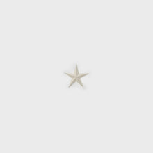 Load image into Gallery viewer, Large White Metal Star
