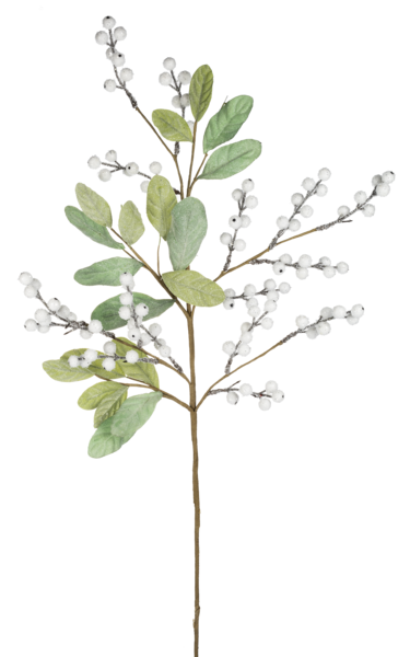 White Berry Eucalyptus Pick