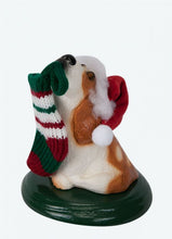 Load image into Gallery viewer, Assorted dog carollers