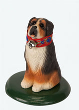 Load image into Gallery viewer, Assorted dog carollers