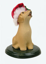 Load image into Gallery viewer, Assorted dog carollers