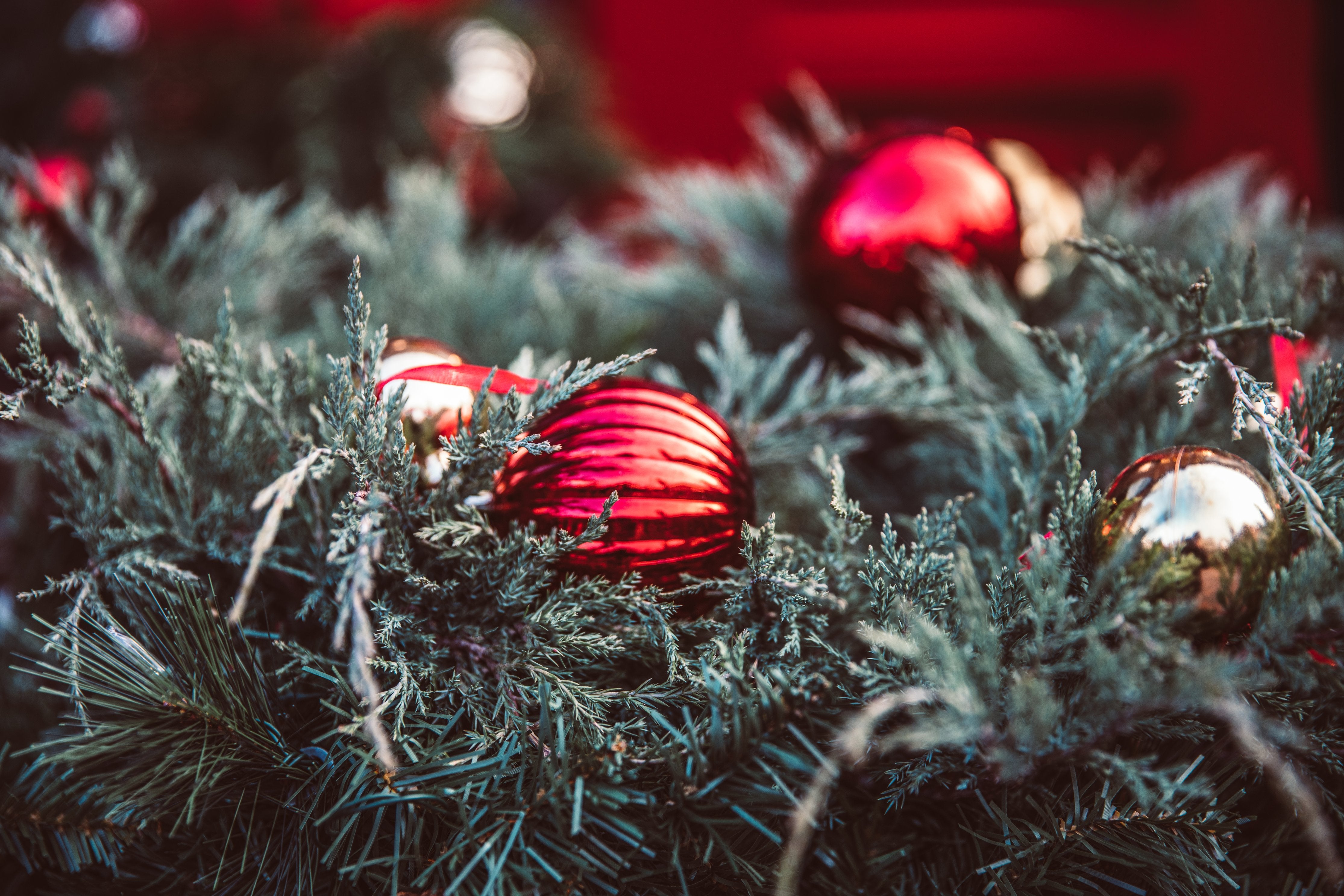 Garlands and Wreaths