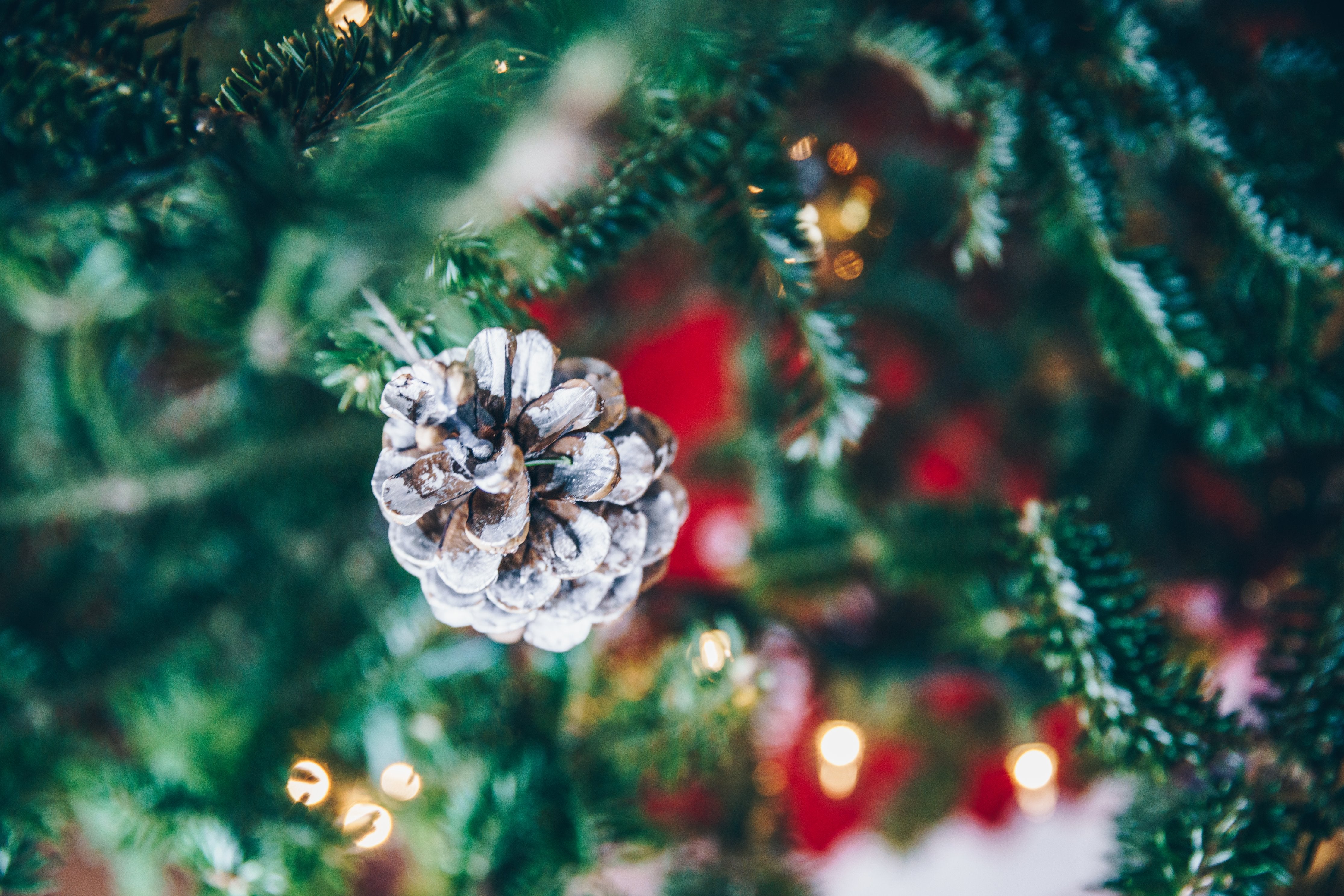 Tree Decor