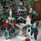 Cardinal Family Carollers