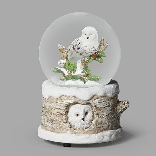 Musical Owl Snowglobe