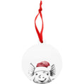Pig Holiday Disc Ornament