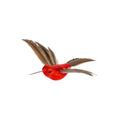 Little Red Hummingbird Clip