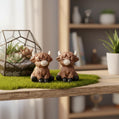 Mini highland cow
