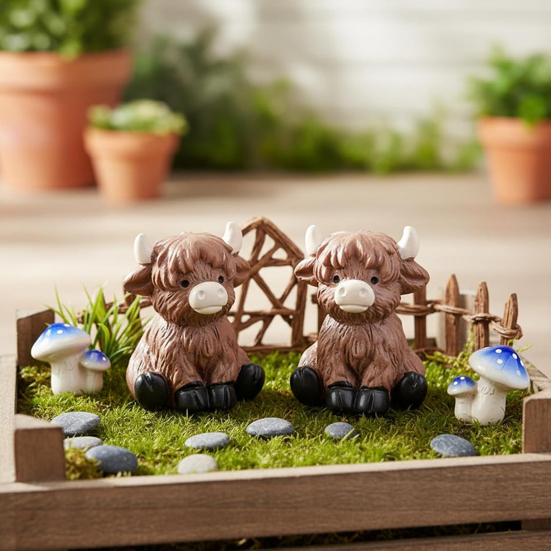 Mini highland cow