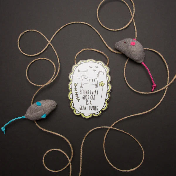 Cat Owner Ornament With Magnet