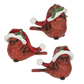 Red Cardinal w Santa Hat