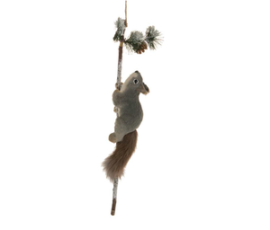 Squirrel On A Branch