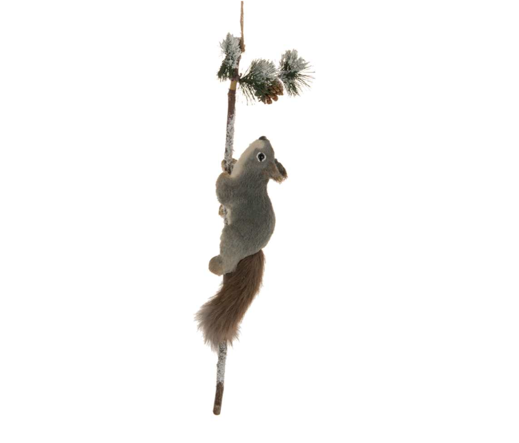Squirrel On A Branch