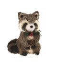 Fun Grass Raccoon