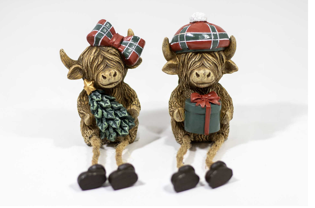 Adorable Shelf-Sitting Highland Cow