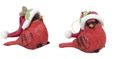 Santa Hatted Red Cardinal