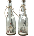 Lit Wintry Scene In A Bottle
