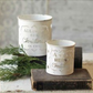 Whitewashed Christmas Bucket