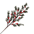 Bright Red Berry Pick