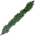 Realistic Fir Garland