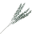 Sage Eucalyptus Mini-Leaf Branch Pick