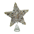 Snowy Natural Star Tree Topper
