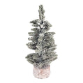 Snow-Kissed Spruce