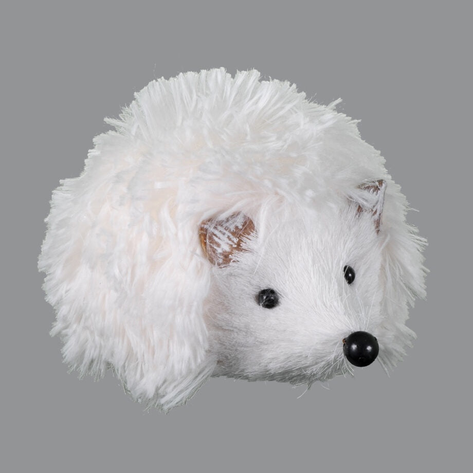 Holly The Hedgehog