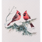 Winter Birds Reusable Sponge Cloth