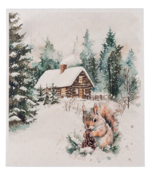 Woodland Winter Reusable Sponge Cloths