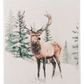 Woodland Winter Reusable Sponge Cloths