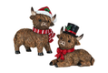 Highland Cows with Holiday Charm