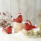 Red Cardinal w Santa Hat