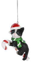 Load image into Gallery viewer, Candycane Cat Ornament
